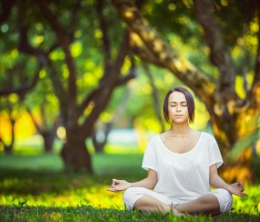 开云体育中国-双城记，当公牛撞破华南虎，切特于欧洲之巅展露獠牙