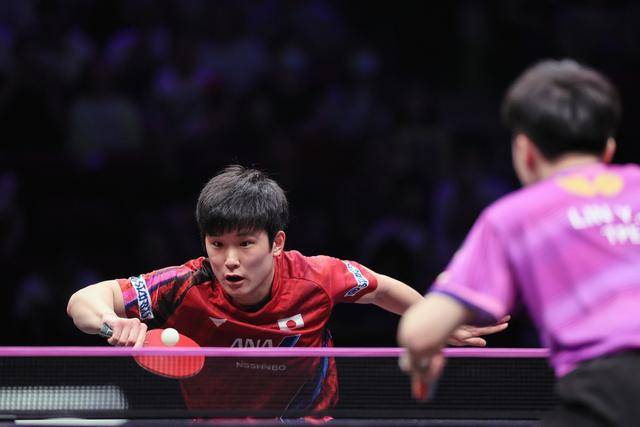 中国队碾压日本队，张本智和高光表现