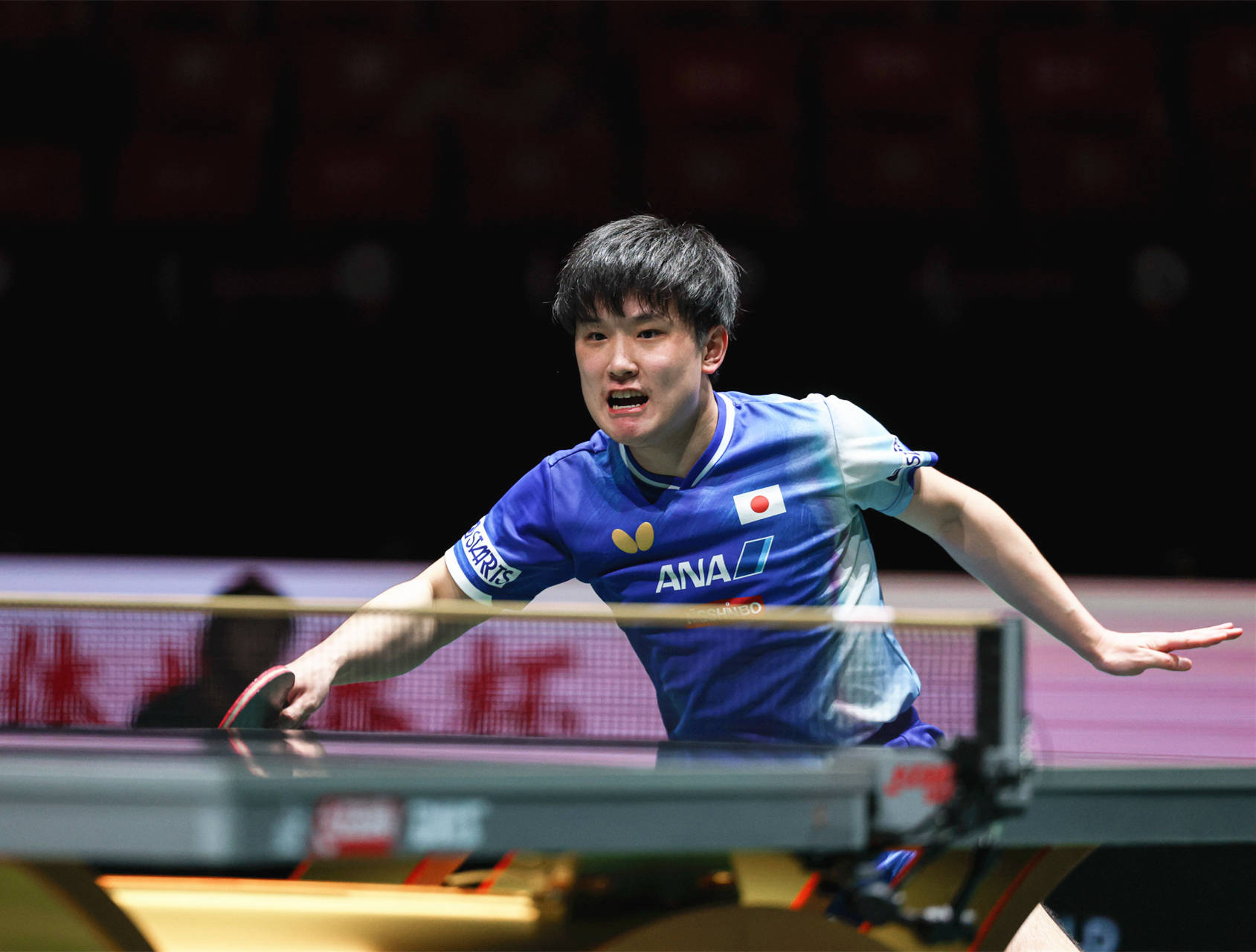 德国队完胜英格兰队，张本智和刷新纪录