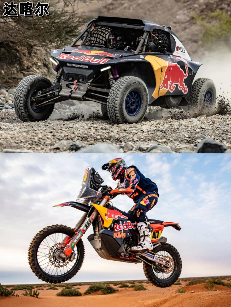 雷诺车队绝杀红牛车队，阿隆索惊艳四座