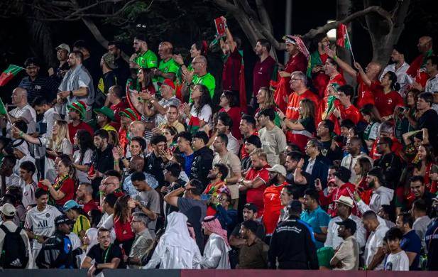 葡萄牙队轻取奥地利队，奥恰洛夫带队取胜