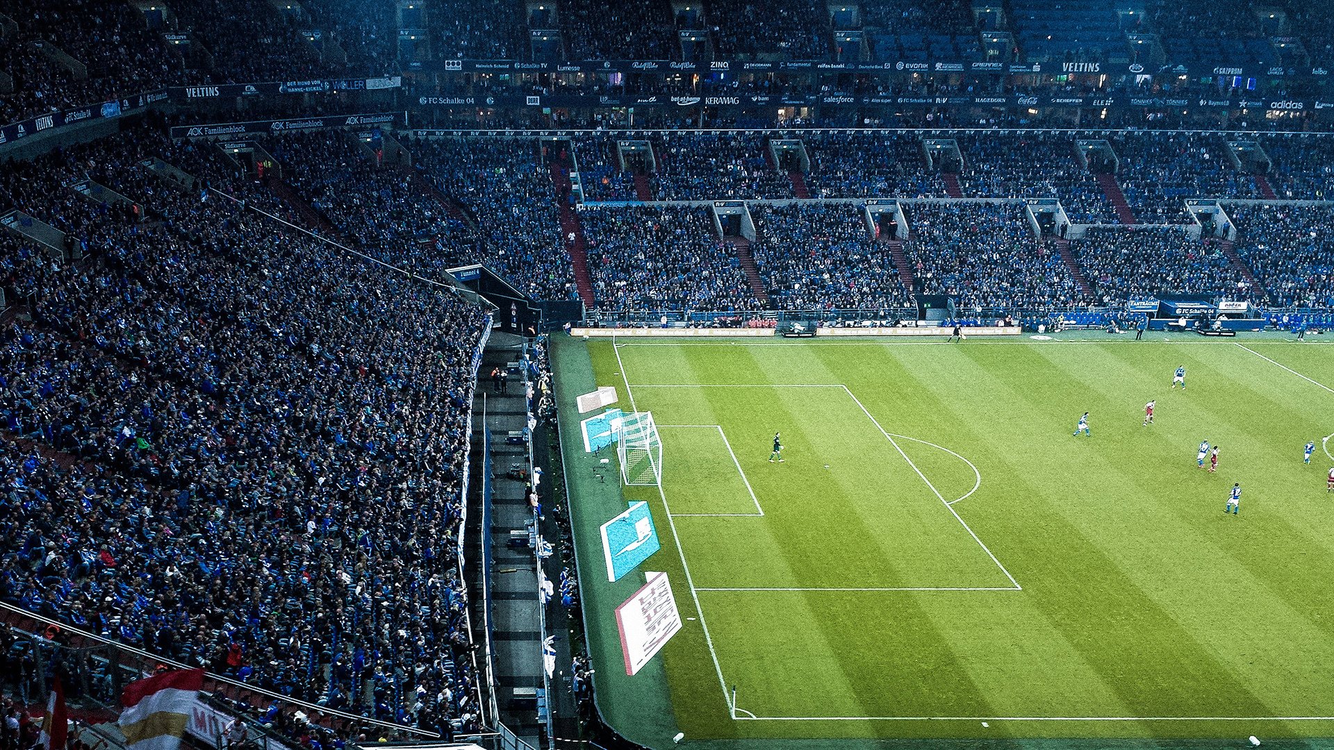 武切维奇之夜，当唯一性在季后赛的灯光下绽放